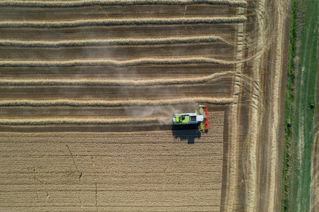 Aerial shot of harvester machinery collecting wheat grain in hot season in rural cultivated fields