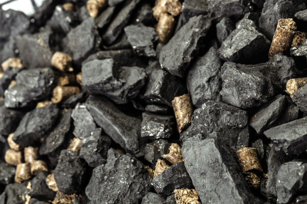 Coal and biomass pellet
